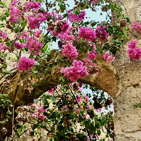 Penelope Garden House Old Town Rhodes City