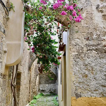 Apartment Penelope Garden House Old Town *