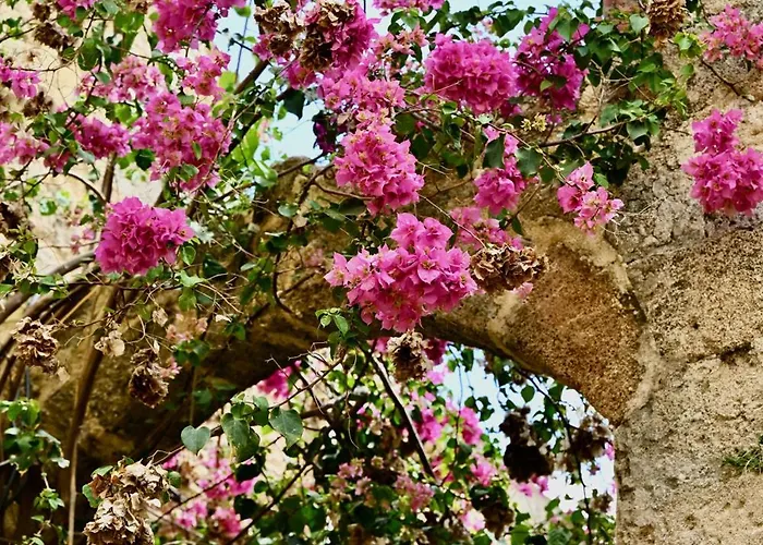 Penelope Garden House Old Town Rhodes City